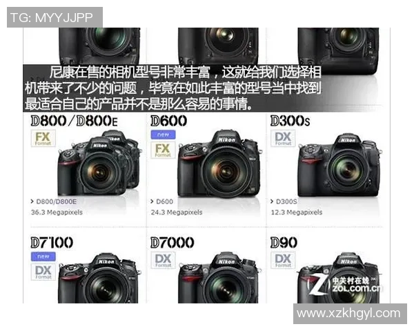 足球星卡每盒价格揭秘如何影响玩家收藏热潮和市场趋势